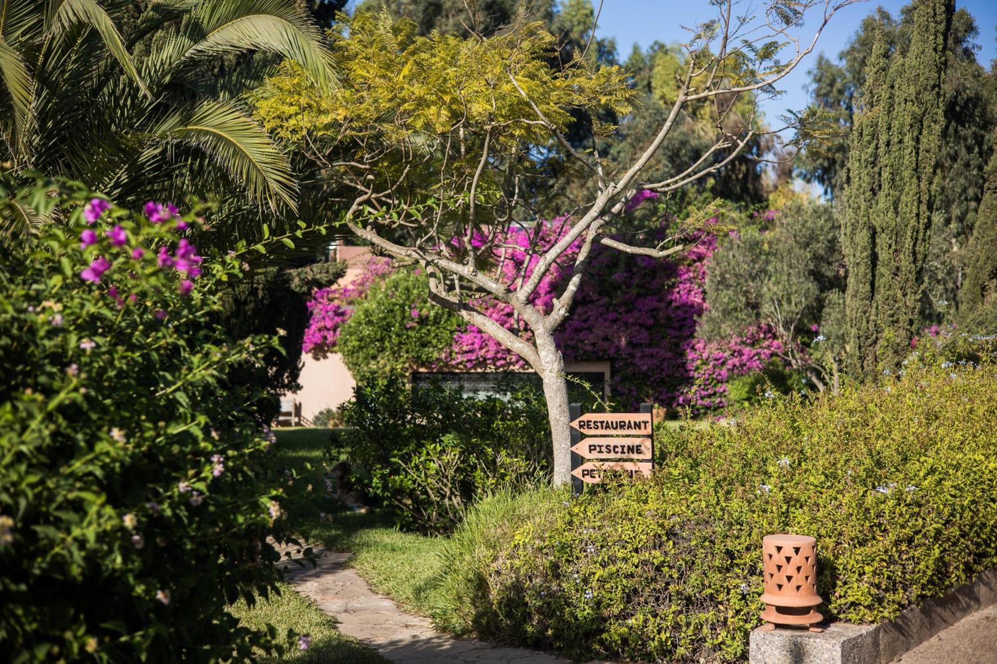 Dar Maktoub Bed & Breakfast Agadir Eksteriør bilde